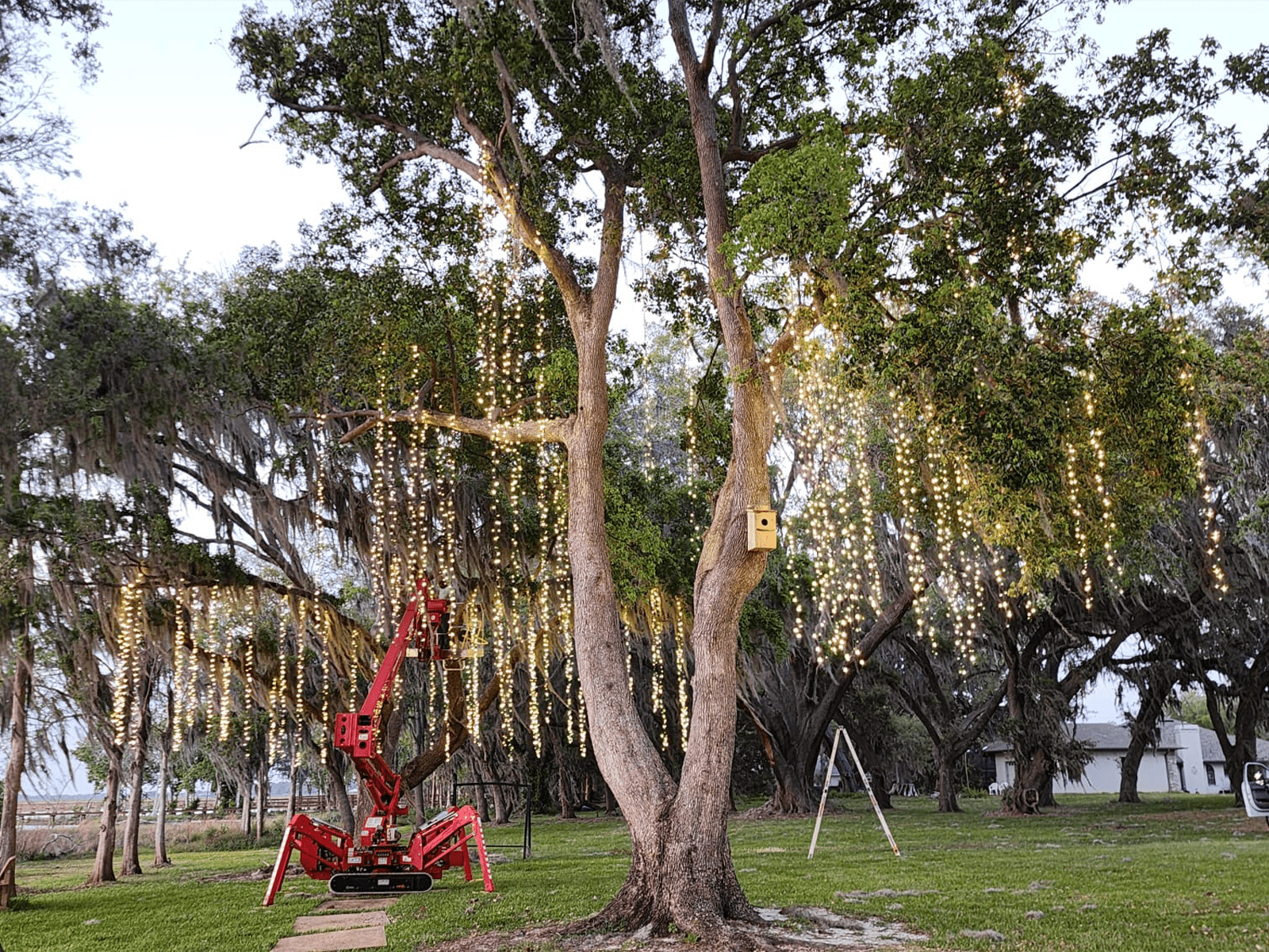 installing out event lighting