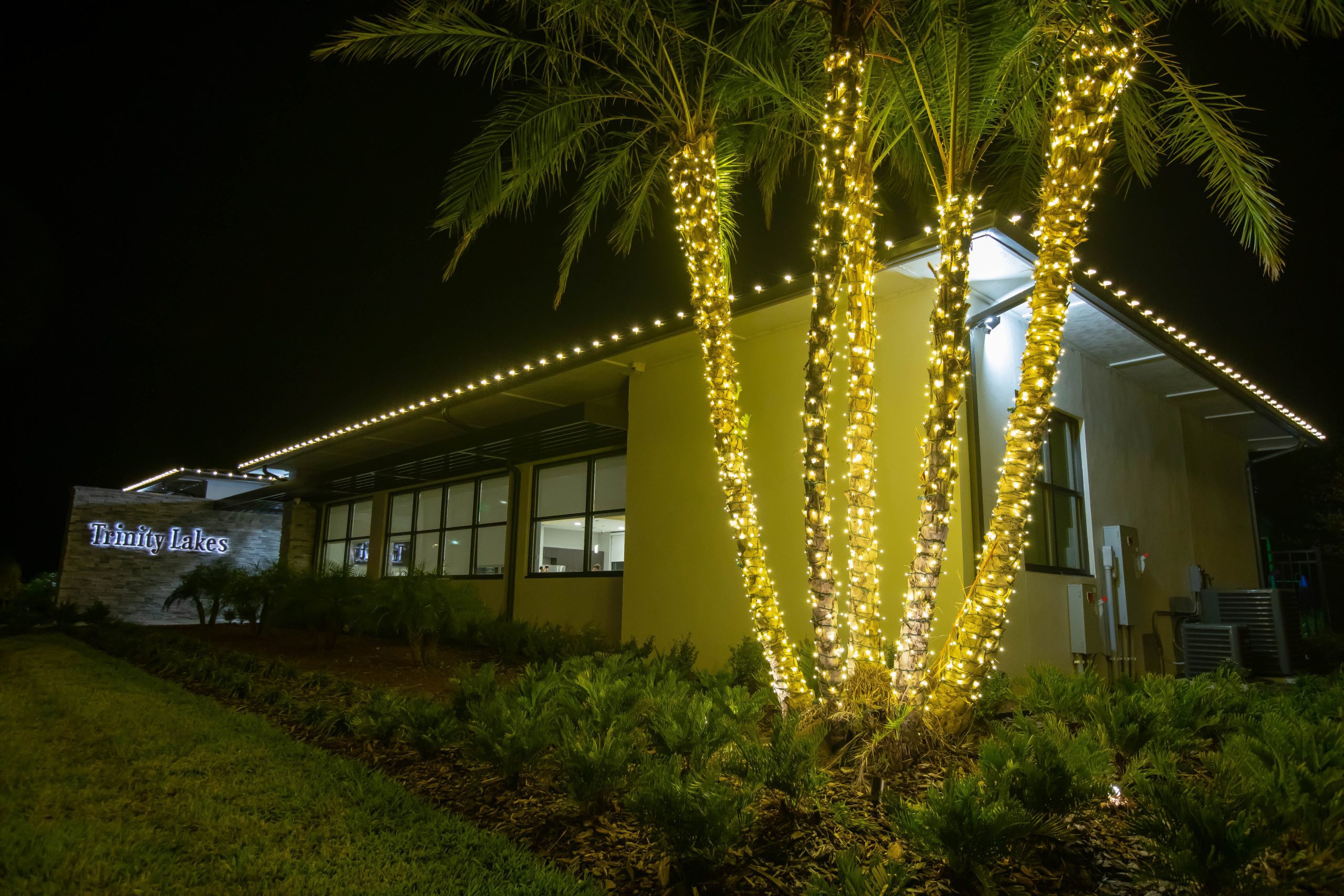 Community clubhouse with palm lighting